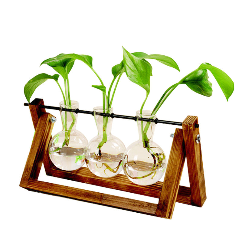 SwingWood HydroGlass Plant Haven